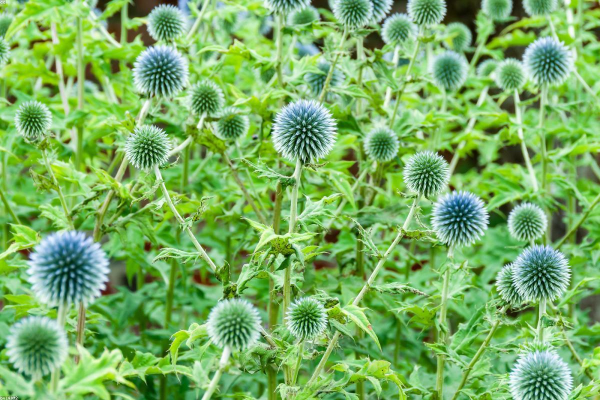 Best 24-70mm Lenses 2026: Complete Comparison Guide