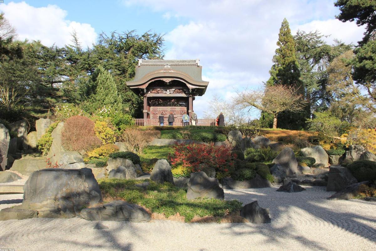 Best Compact Digital Cameras 2026: Top Picks & Reviews