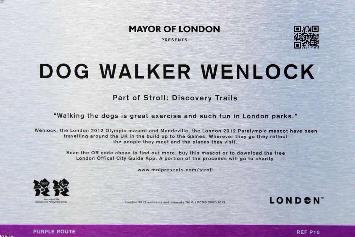 Best Compact Mirrorless Cameras 2026: Top Picks Reviewed