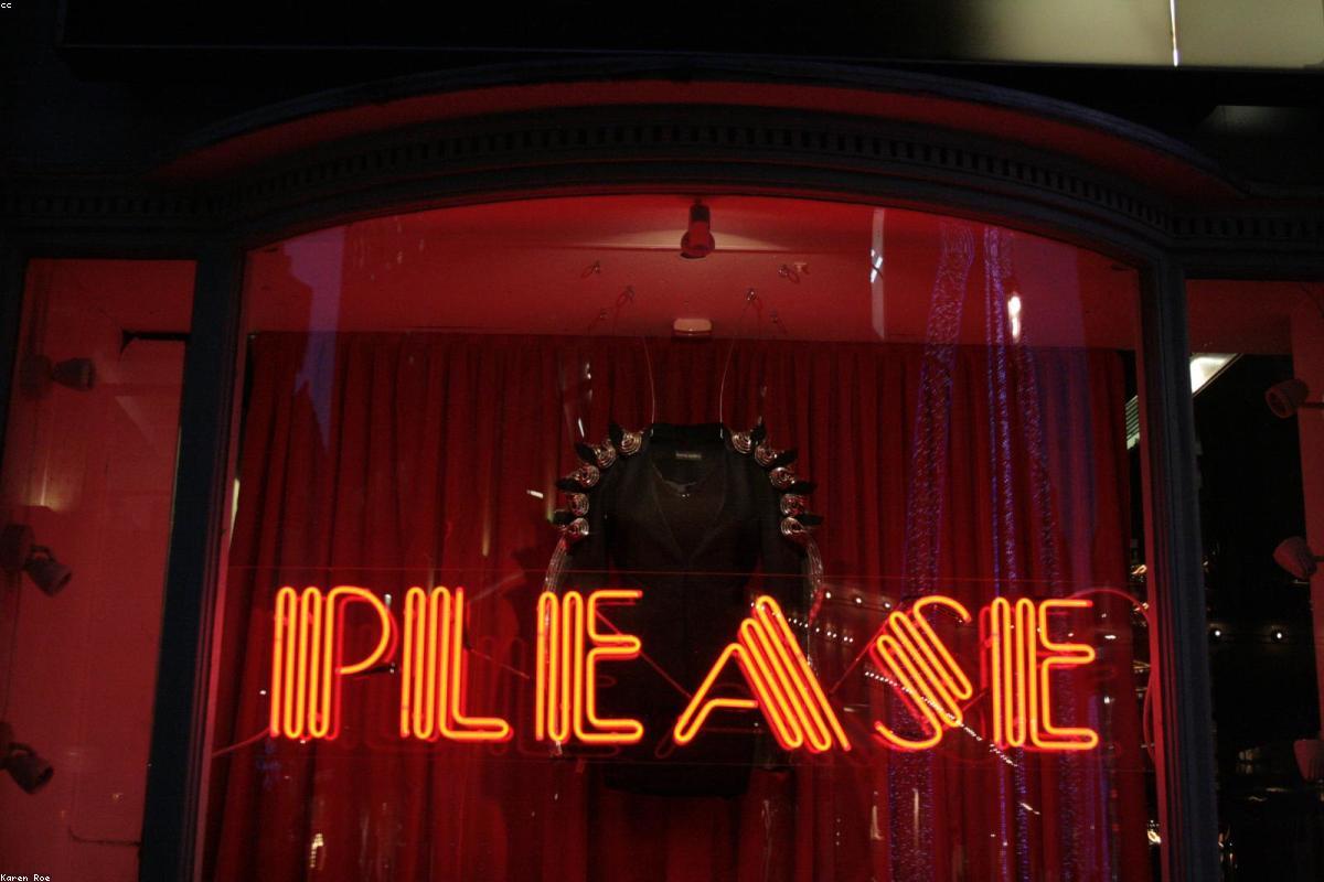 Best Wildlife Photography Cameras 2026: Top Picks & Reviews