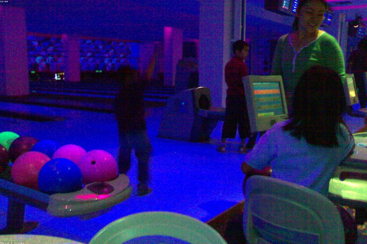 Canon RF 100-500mm Wildlife Lens Review: Pro Performance Test