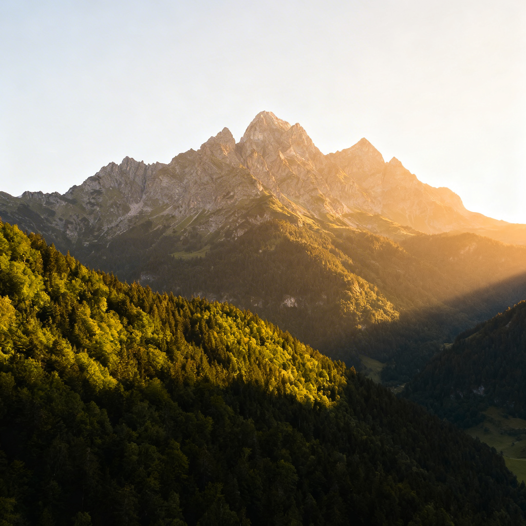 Canon RF 70-200mm f/2.8 L IS USM Review: Pro Lens Tested