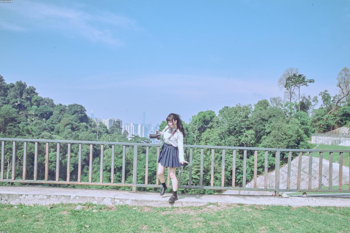 Canon RF vs Sony GM Lenses: Complete 2024 Comparison Guide