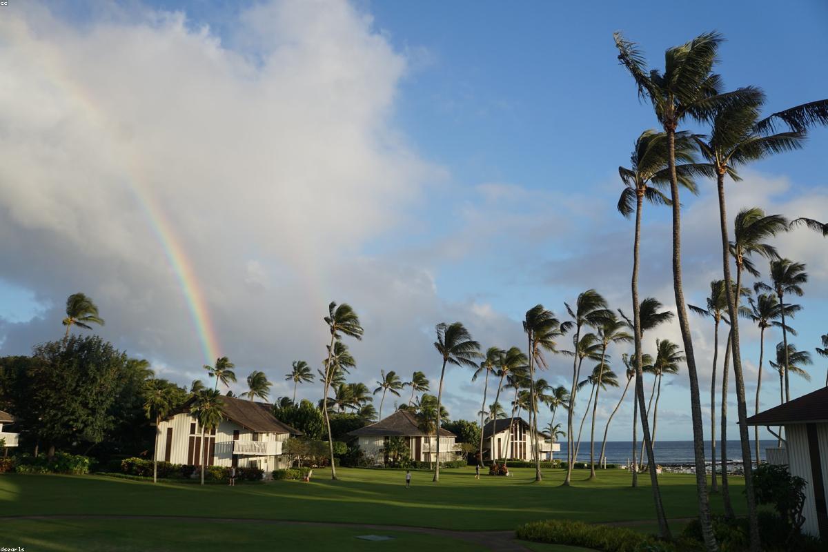 Sony Camera Announcements & Rumors 2026: Latest News