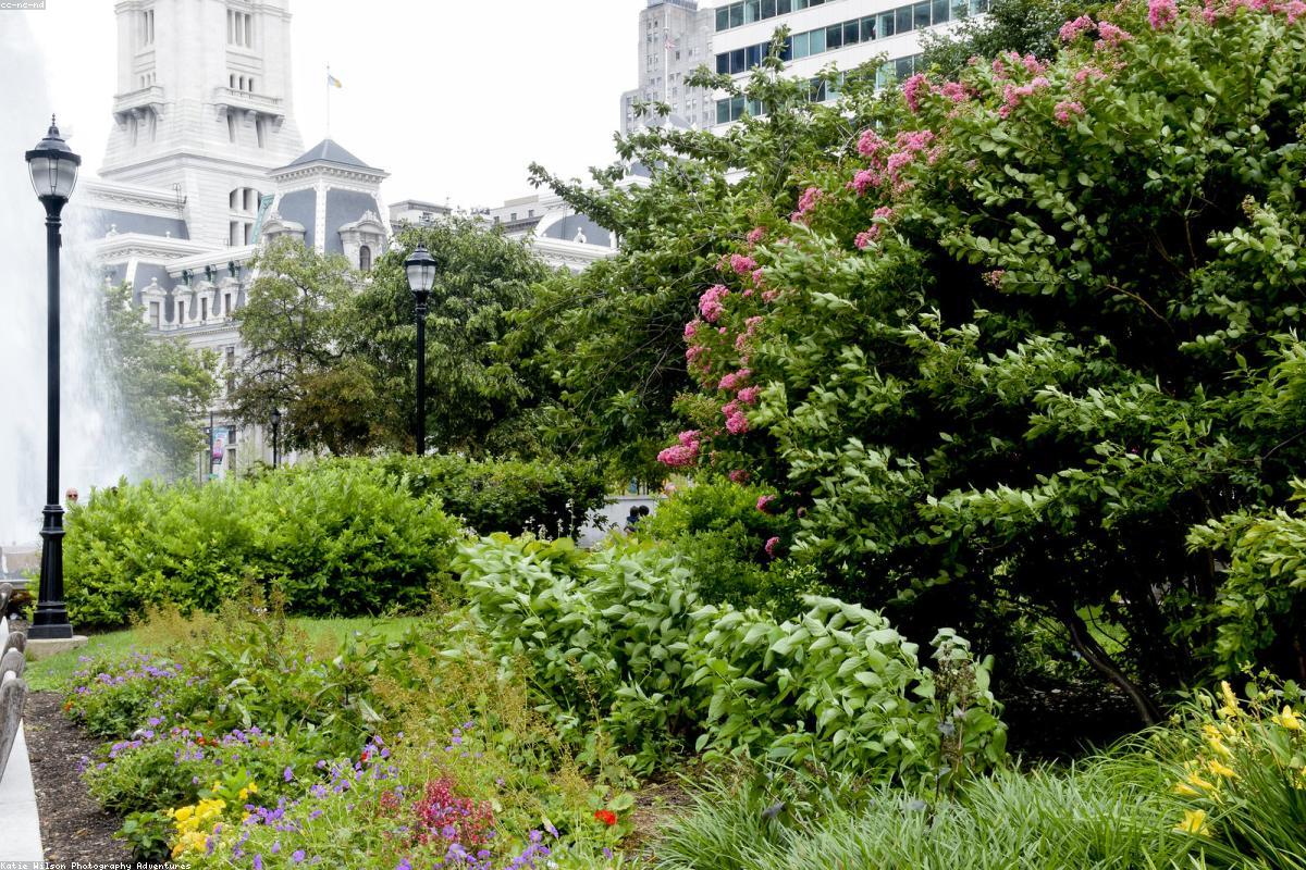 Wildlife Photography Tips: Essential Techniques for Beginners